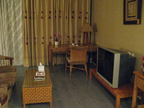 電視好大 電視好大