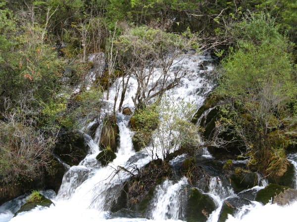 09/20 九寨溝 藏羌歌舞秀
