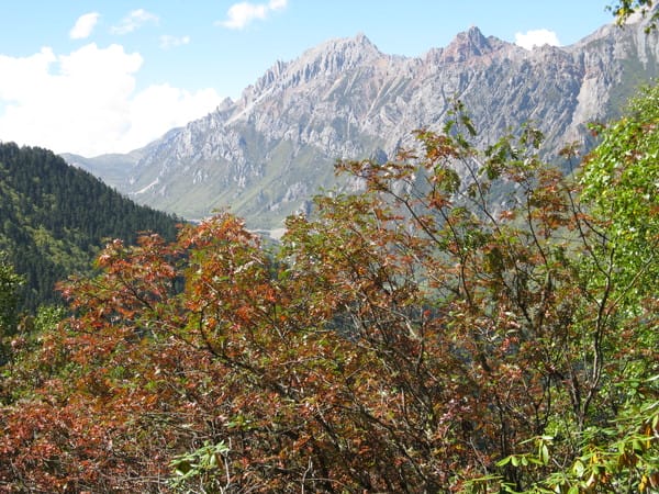 09/19 四川成都-四川九黃機場-黃龍風景區