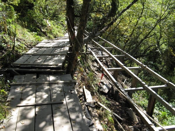 右邊是地震弄壞的 左邊是修好的