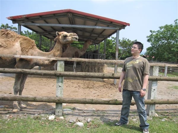 近距離看 真的很怕被他吃掉