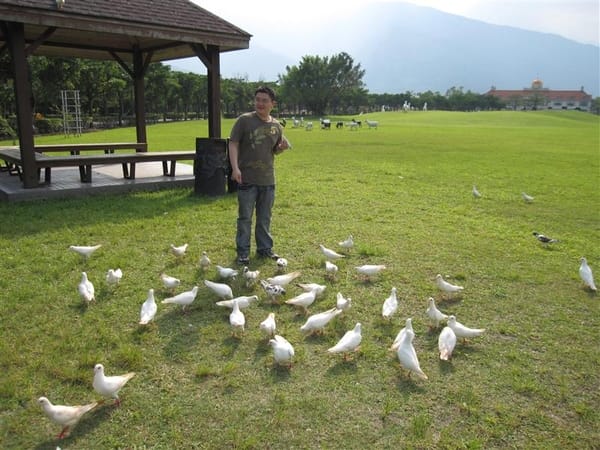 說實在的 我比較怕他們大便在我頭上