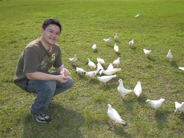 在販賣機投幣後 鴿子就自己靠過來了