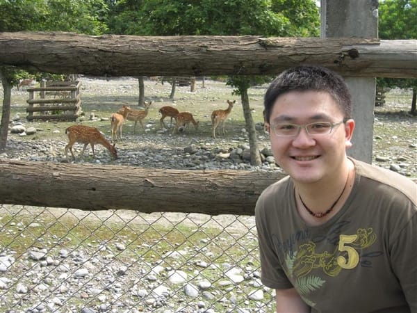 我說"咩咩" 他們就會回頭 屢試不爽