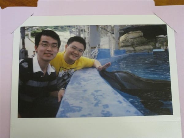 把手這樣放 海豚就會自己靠過來