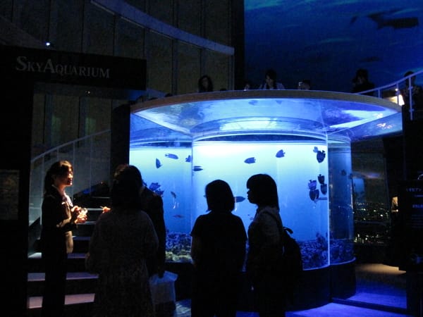 要額外付錢的天空水族館