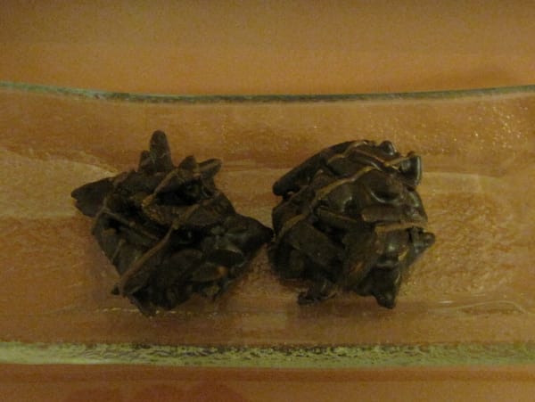 第一天點心 第一天點心