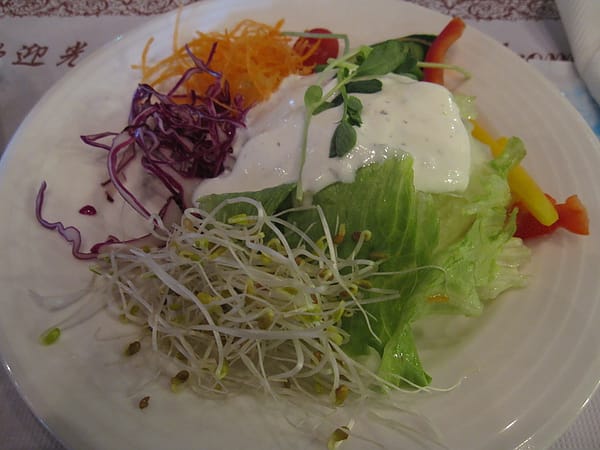 真的很普通的沙拉