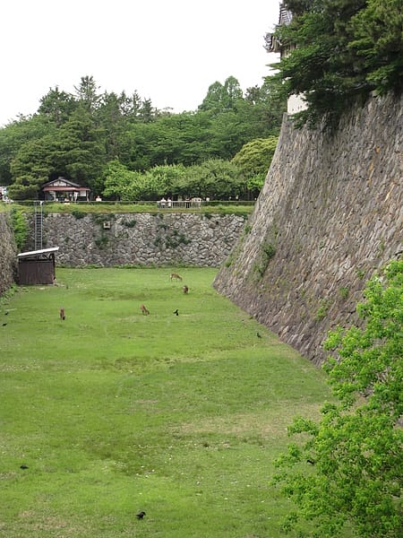 IMG_5675.JPG IMG_5675.JPG