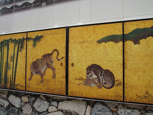 IMG_5674.JPG IMG_5674.JPG