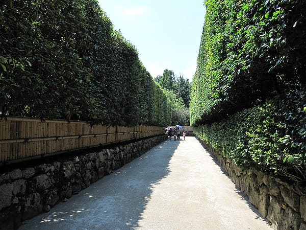 從總門到中門,高度約五公尺的籬笆也相當漂亮