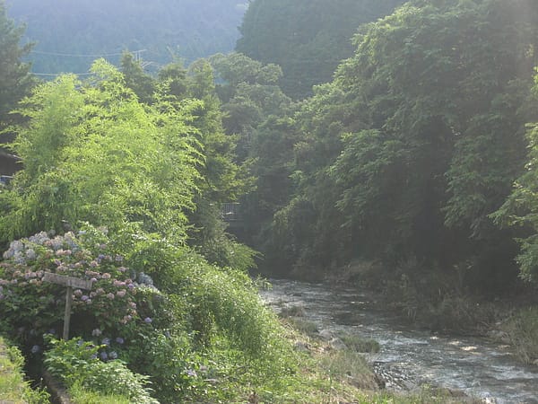 2010.07.22 關西遊 Day2-2 三千院-大原の里