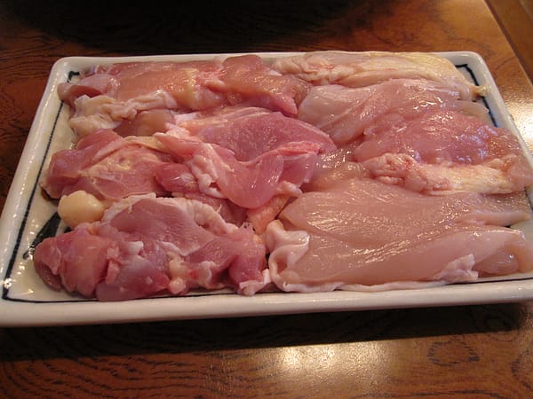 滋賀縣的指定農場中飼養的雞