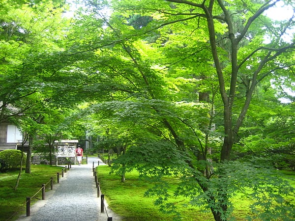 有清園,內有往生極樂院,不能拍照所以沒拍