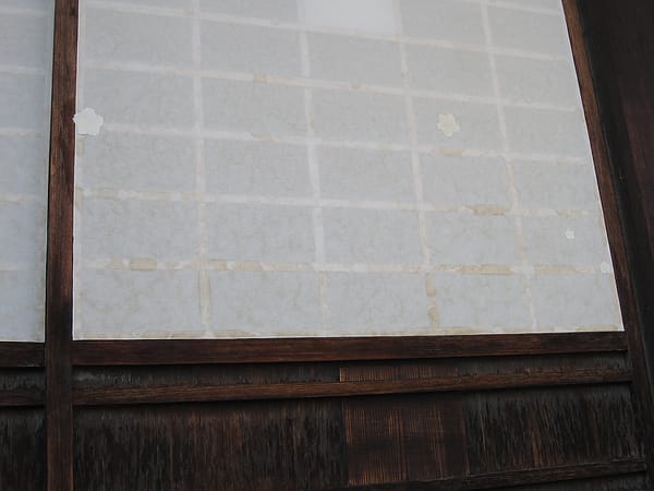 IMG_6397.JPG IMG_6397.JPG