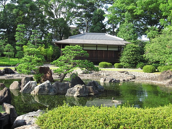 IMG_6431.JPG IMG_6431.JPG