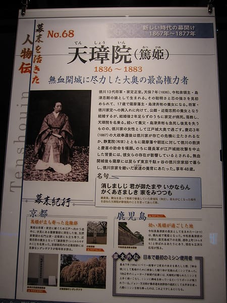 IMG_6461.JPG IMG_6461.JPG