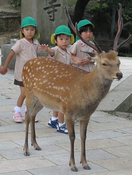 2010.07.24 關西遊 Day4-1 奈良