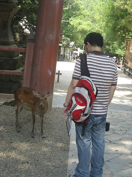 2010.07.24 關西遊 Day4-1 奈良