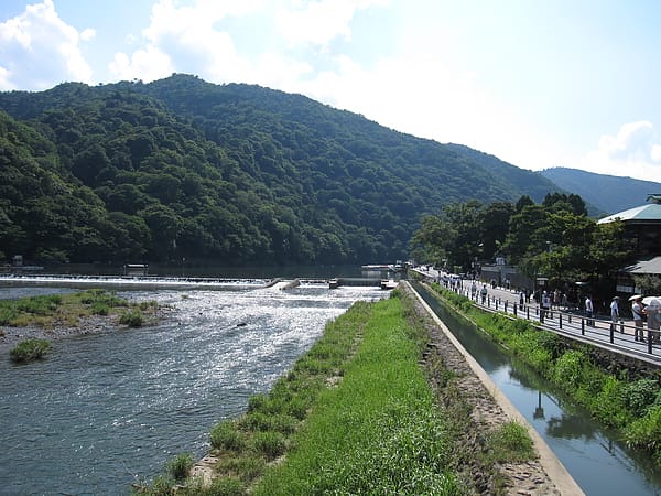 IMG_6353.JPG IMG_6353.JPG