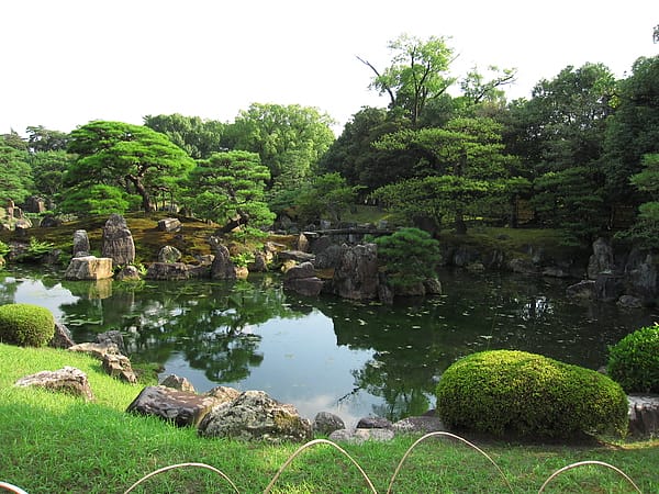 IMG_6399.JPG IMG_6399.JPG