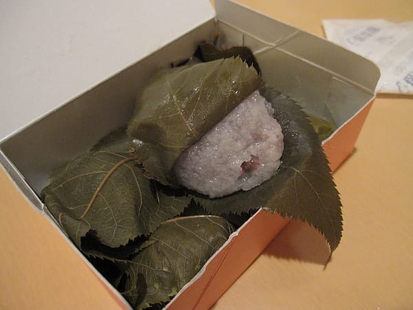 IMG_6353 (2).JPG IMG_6353 (2).JPG