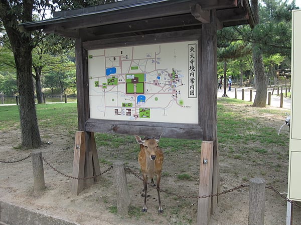 2010.07.24 關西遊 Day4-1 奈良