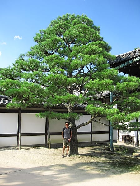 IMG_6401.JPG IMG_6401.JPG