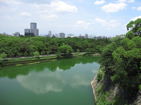 IMG_7110.JPG IMG_7110.JPG