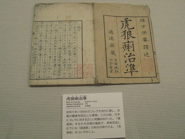 IMG_7166 (8).JPG IMG_7166 (8).JPG