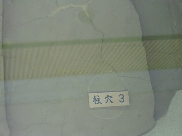 IMG_7152.JPG IMG_7152.JPG