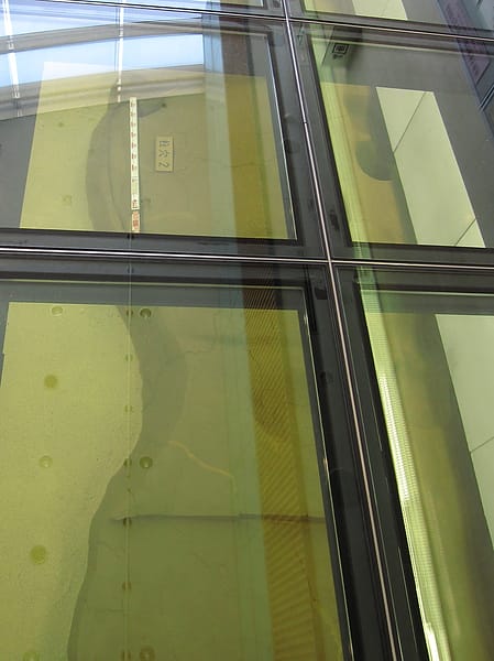 IMG_7153.JPG IMG_7153.JPG