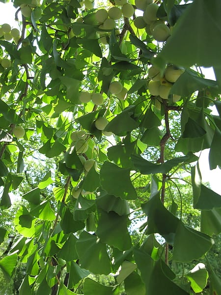 IMG_7291.JPG IMG_7291.JPG