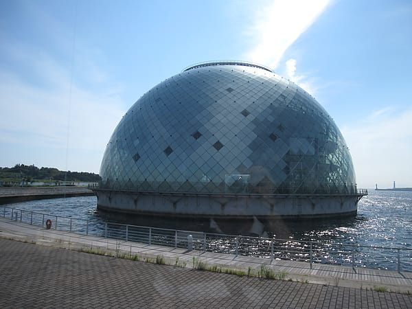 IMG_7416.JPG IMG_7416.JPG