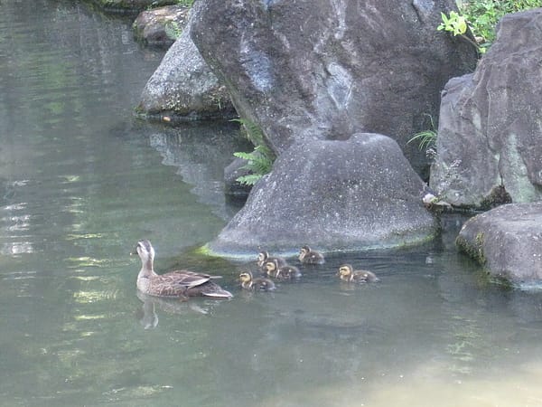 IMG_7299.JPG IMG_7299.JPG