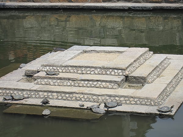 IMG_7308.JPG IMG_7308.JPG