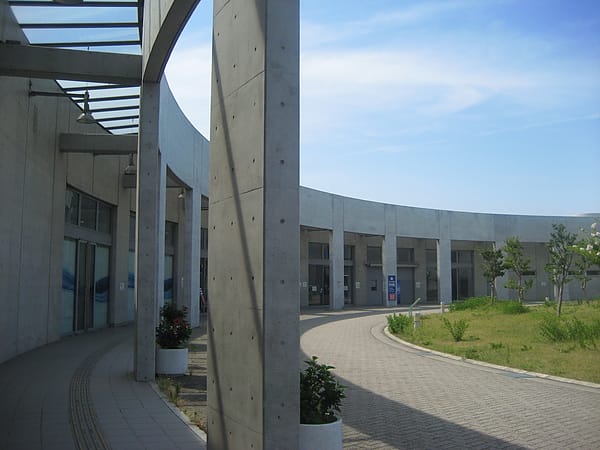 IMG_7375 (3).JPG IMG_7375 (3).JPG