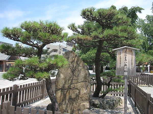 IMG_7310.JPG IMG_7310.JPG