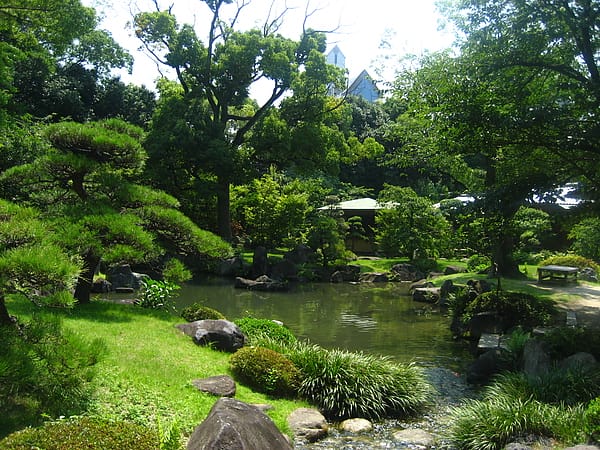 IMG_7295.JPG IMG_7295.JPG