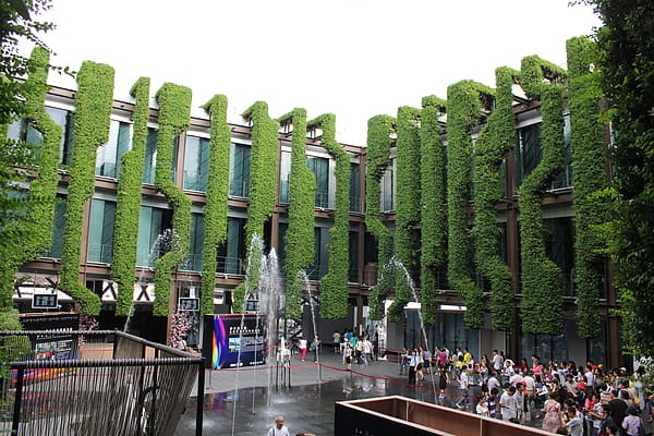 IMG_1563.JPG IMG_1563.JPG