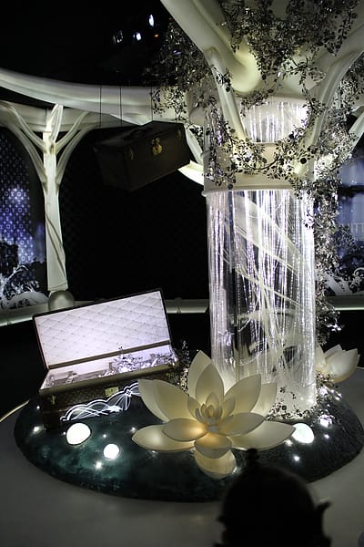 IMG_1556.JPG IMG_1556.JPG