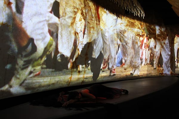 IMG_1806.JPG IMG_1806.JPG