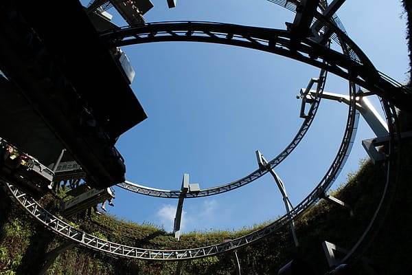 IMG_1784.JPG IMG_1784.JPG