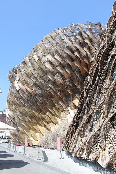 IMG_1800.JPG IMG_1800.JPG