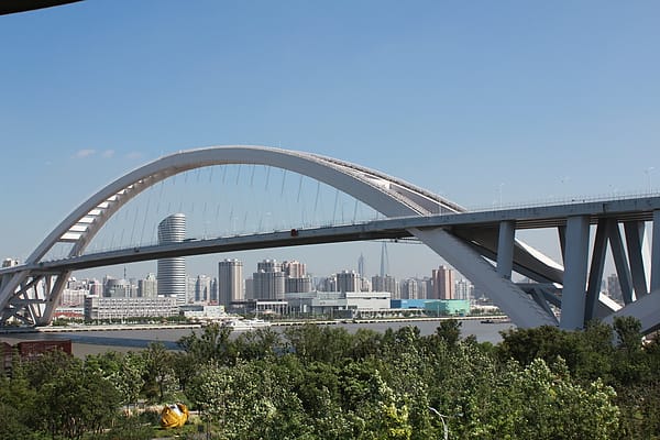 IMG_1795.JPG IMG_1795.JPG