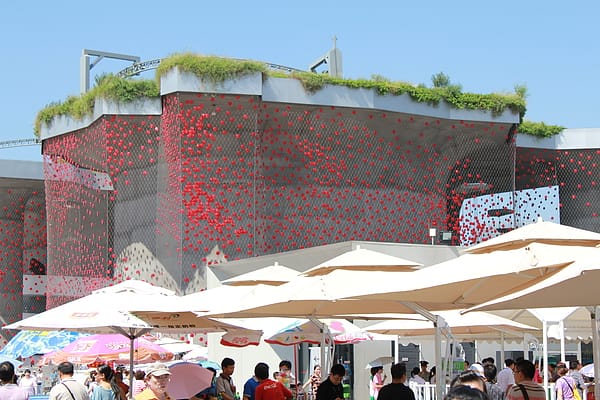 IMG_1855.JPG IMG_1855.JPG