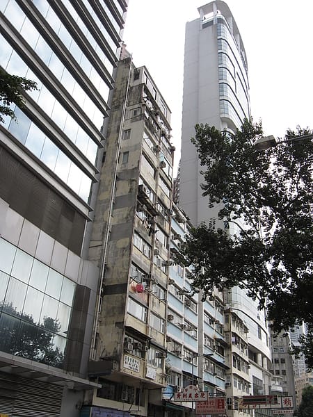 IMG_9088.JPG IMG_9088.JPG