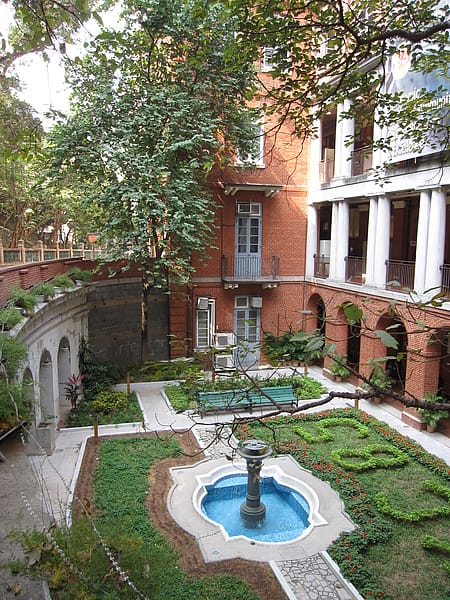 IMG_9992.JPG IMG_9992.JPG