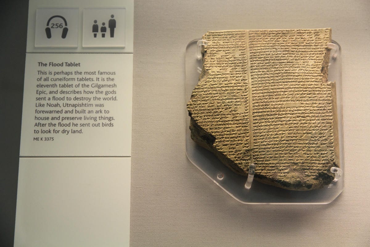 IMG_4460.JPG IMG_4460.JPG