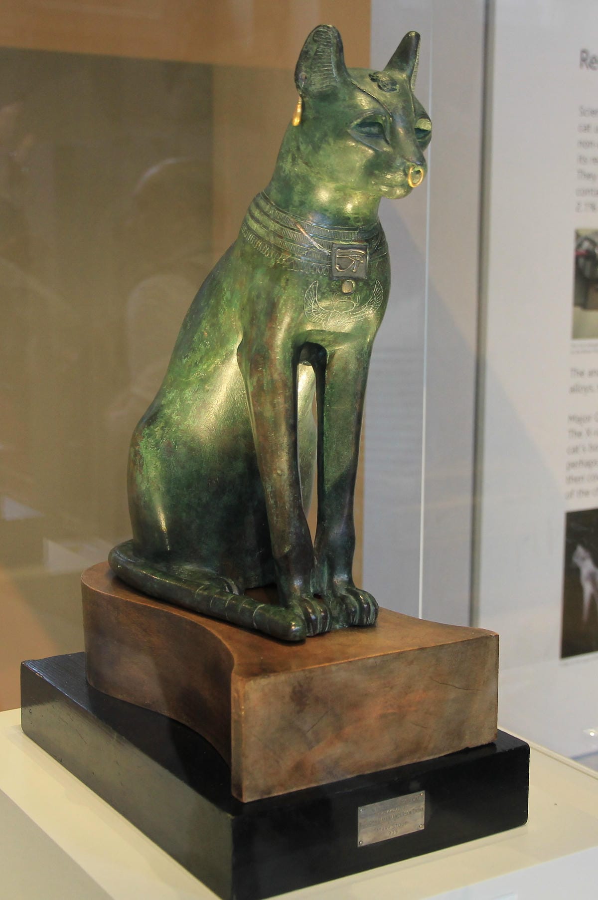 IMG_4387.JPG IMG_4387.JPG